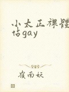 小太正裸体黄网站gay