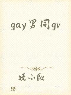 gay男同gv