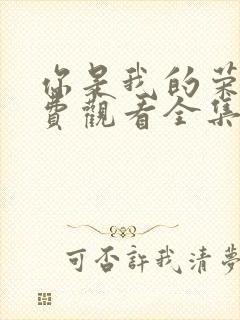 你是我的荣耀免费观看全集电视剧