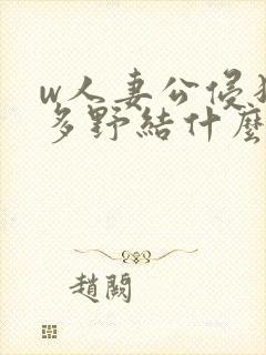 w人妻公侵犯波多野结什么销售在线观看