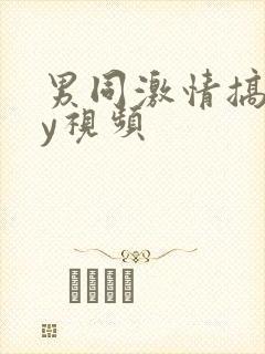 男同激情搞gay视频