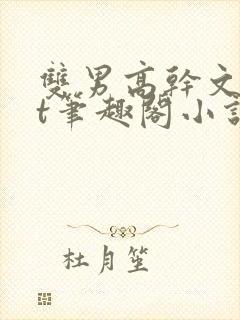 双男高干文txt笔趣阁小说