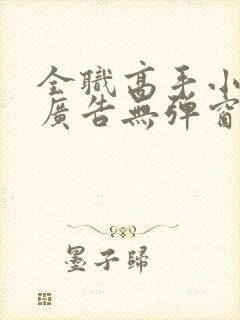 全职高手小说无广告无弹窗封面