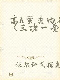 高h荤爽肉欲文〈三攻一受