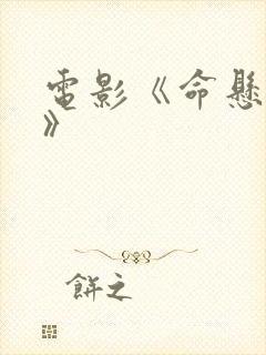 电影《命悬一枪》封面