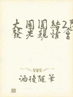 大团圆结2闪闪发光亲情会