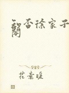 知否徐家子笔趣阁