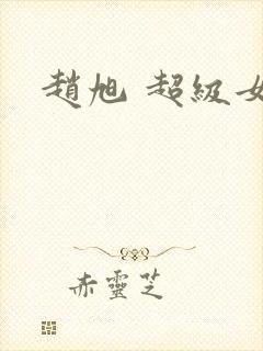 赵旭 超级女婿封面