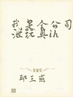 我是全公司的发泄玩具ih