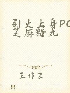 引火上身POP芝麻糖丸封面