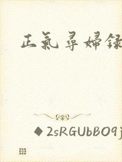 正气寻妇录封面