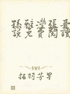 孙雅滢张晋的小说免费阅读无弹窗