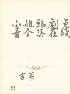 小姐韩剧免费观看全集在线高清