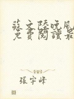 苏文陆晚风小说免费阅读最新章节