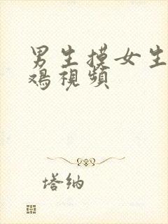 男生摸女生的鸡鸡视频