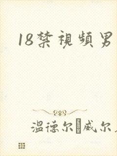 18禁视频男男