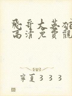 飞哥大英雄在线高清免费观看