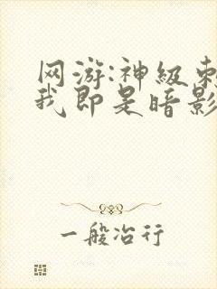 网游:神级刺客我即是暗影漫画