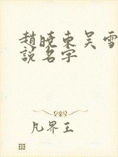 赵晓东吴雪晴小说名字