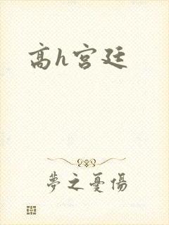 高h宫廷