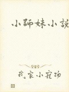 小师妹小说