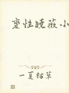 变性晓薇小说封面