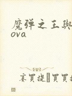 魔弹之王与战姬ova封面