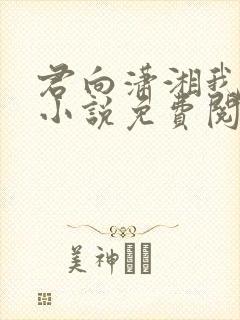 君向潇湘我向秦小说免费阅读