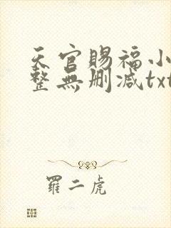 天官赐福小说完整无删减txt