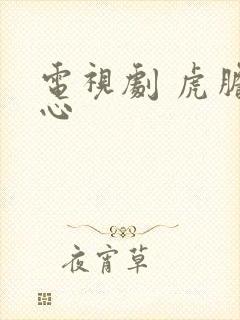 电视剧 虎胆雄心封面