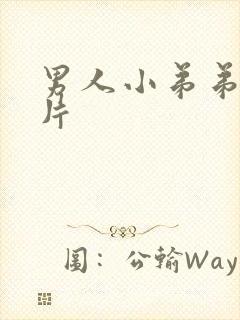 男人小弟弟的图片封面