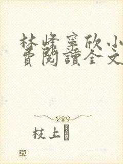 林峰宁欣小说免费阅读全文最新章节笔趣阁