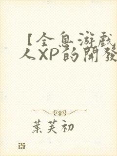 【全息游戏】美人XP的开发日常