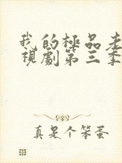 我的极品老婆电视剧第三季免费观看