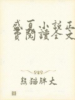 盛夏小说正版免费阅读全文无弹窗封面