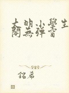 大明小学生笔趣阁无弹窗