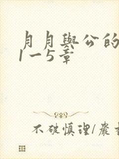 月月与公的激情1一5章