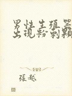 男性生殖器根部出现粉刺颗粒