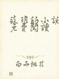 苏玥的小说全文免费阅读