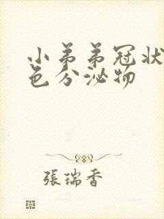 小弟弟冠状沟白色分泌物