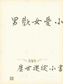 男欢女爱小说