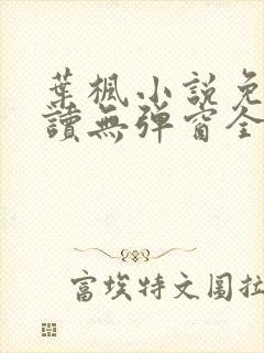 叶枫小说免费阅读无弹窗全文