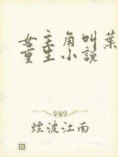 女主角叫叶薇的重生小说