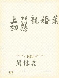 上门龙婚叶辰萧初然封面