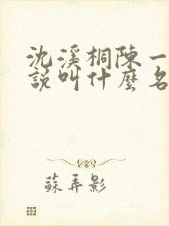 沈溪桐陈一清小说叫什么名字