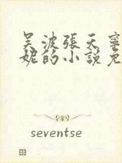 吴波张天宁李曼妮的小说免费阅读封面