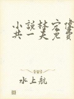 小说林宏伟三女共一夫免费阅读