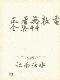 正者无敌电视剧全集44封面