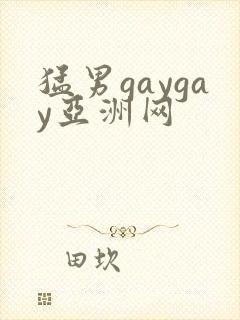 猛男gaygay亚洲网