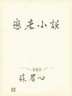 恋老小说